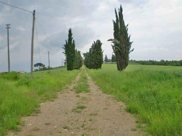 Terreno in vendita a Monte San Savino, Arezzo