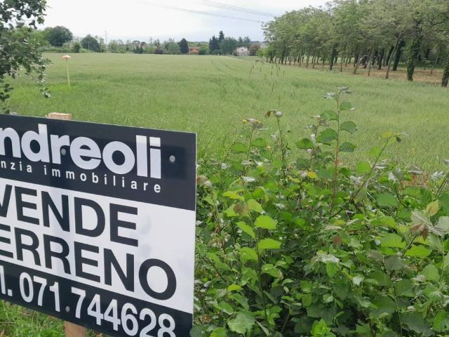 Terreno in vendita a Marche, Ancona