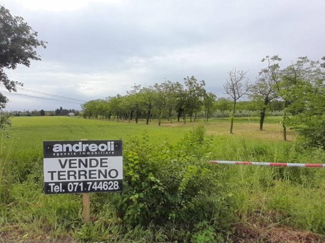 Terreno in vendita a Marche, Ancona