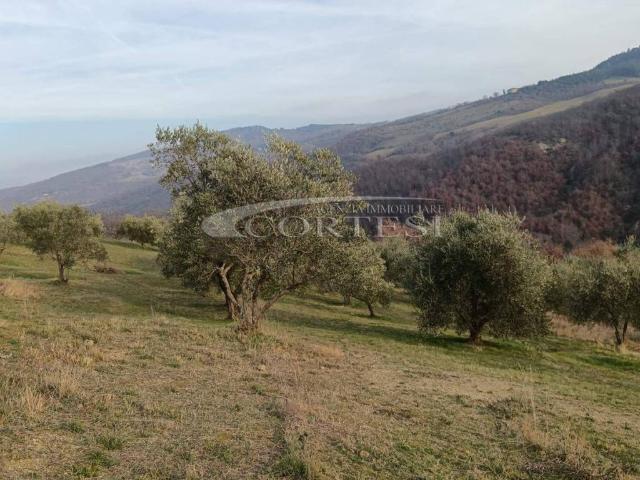 Terreno in vendita a Monte Santa Maria Tiberina, Umbria