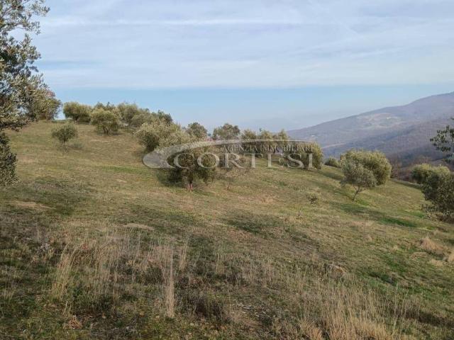 Terreno in vendita a Monte Santa Maria Tiberina, Umbria
