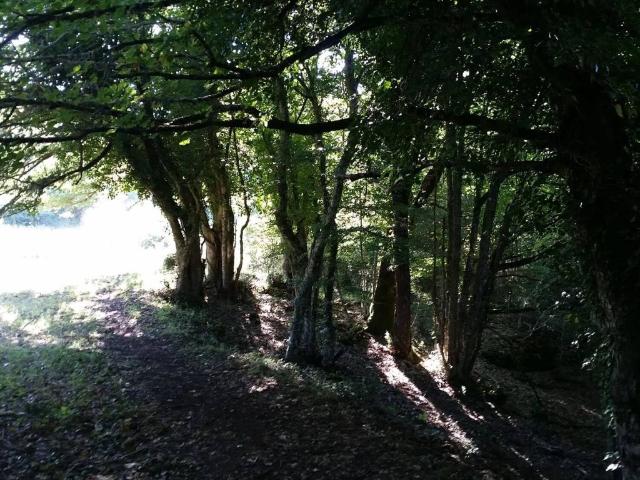 Terreno in vendita a Puglia, Foggia