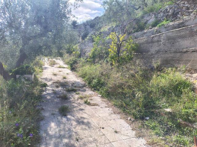 Terreno in vendita a Puglia, Foggia