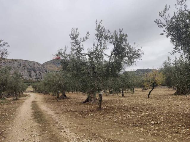 Terreno in vendita a Puglia, Foggia