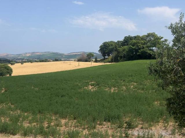 Terreno in vendita a Marche, Fermo