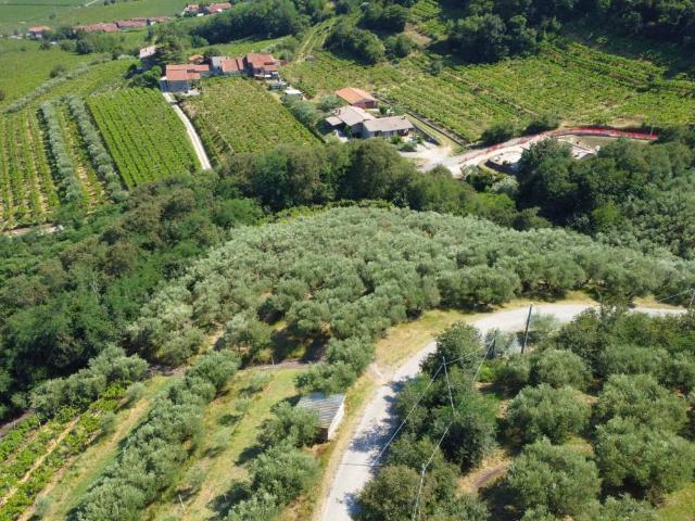 Terreno in vendita a Montebello Vicentino, Veneto