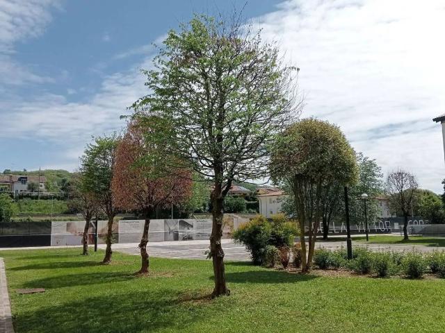 Terreno in vendita a Montebelluna, Veneto