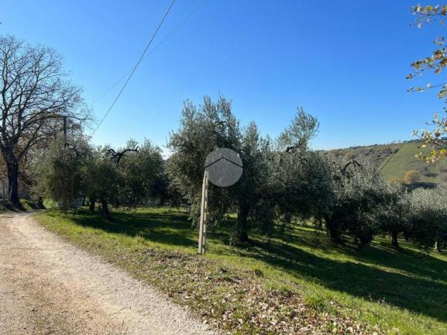 Terreno in vendita a Calvi Dell'umbria, Umbria
