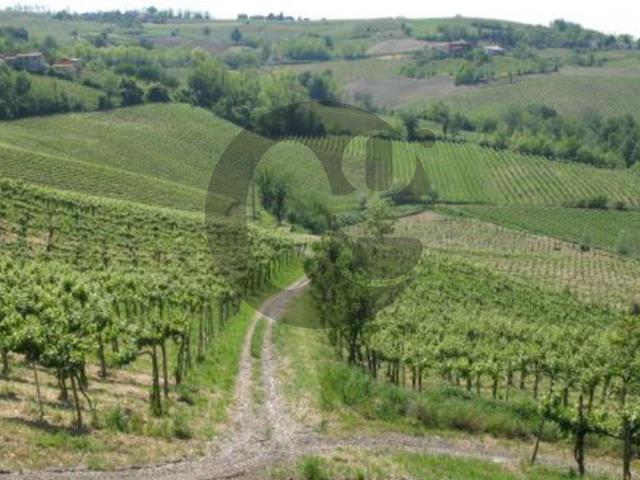 Terreno in vendita a Montecalvo Versiggia, Lombardia