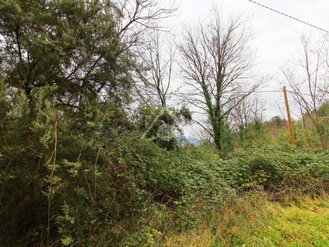 Terreno in vendita a San Giuseppe, Montecarlo