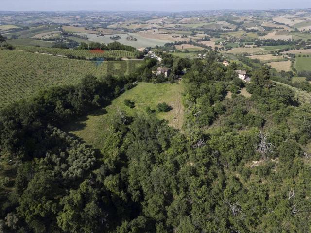 Terreno in vendita a Marche, Ancona