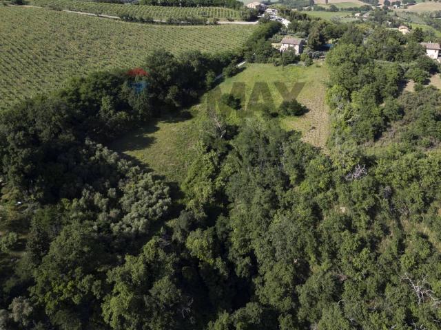 Terreno in vendita a Marche, Ancona