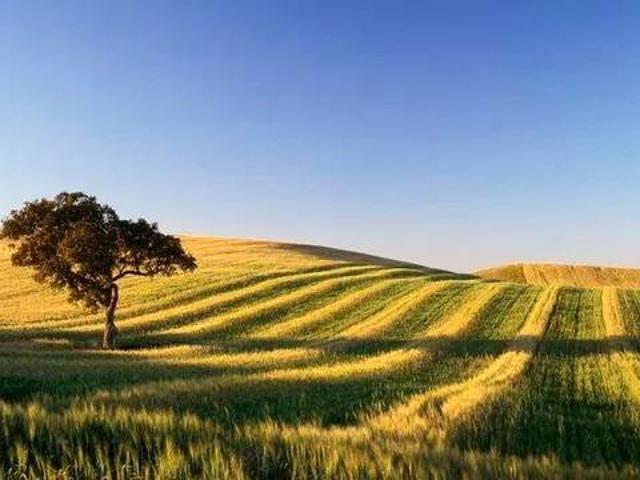 Terreno in vendita a Marche, Ancona