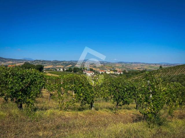 Terreno in vendita a Marche, Ancona