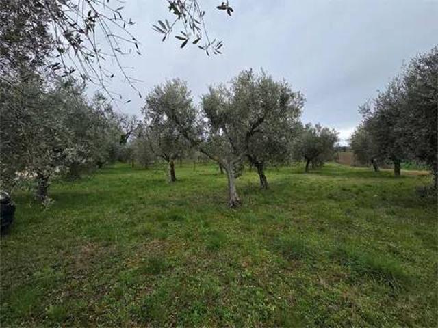 Terreno in vendita a Marche, Macerata