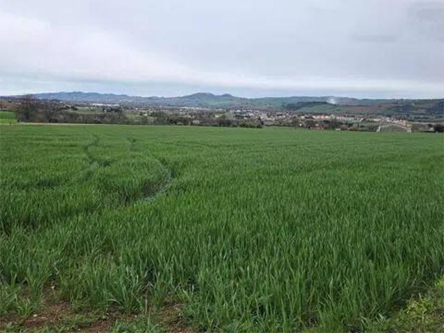 Terreno in vendita a Marche, Macerata
