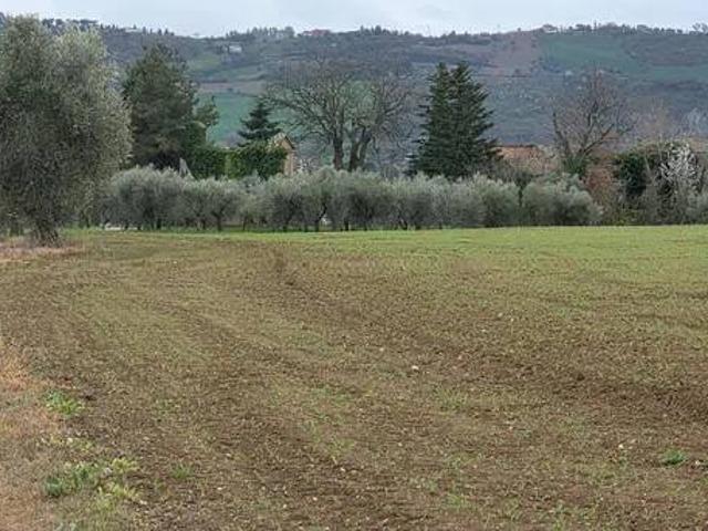 Terreno in vendita a Marche, Macerata