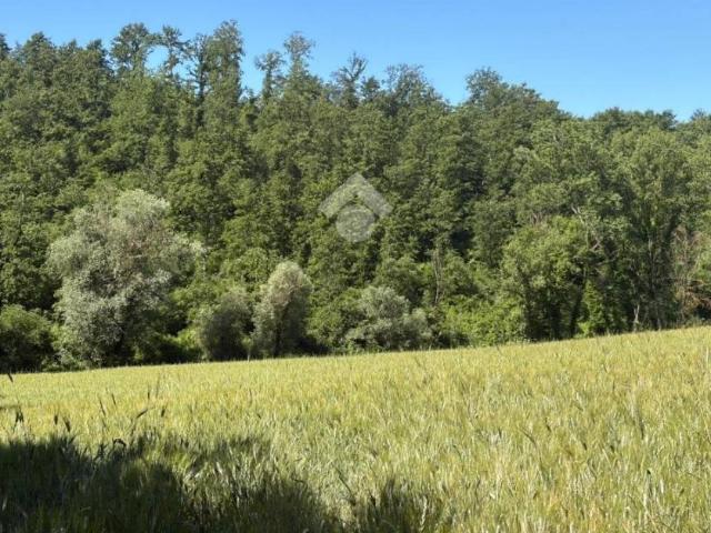 Terreno in vendita a Montecastrilli, Umbria