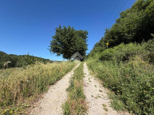 Terreno in vendita a Montecastrilli, Umbria