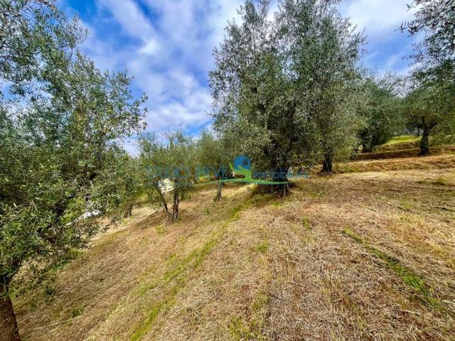 Terreno in vendita a Montecatini Alto, Montecatini Terme