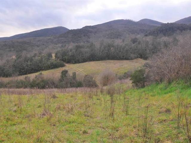 Terreno in vendita a Montecatini Val Di Cecina, Toscana