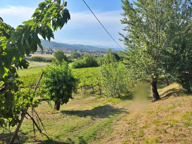 Terreno in vendita a Montecchio Maggiore, Veneto