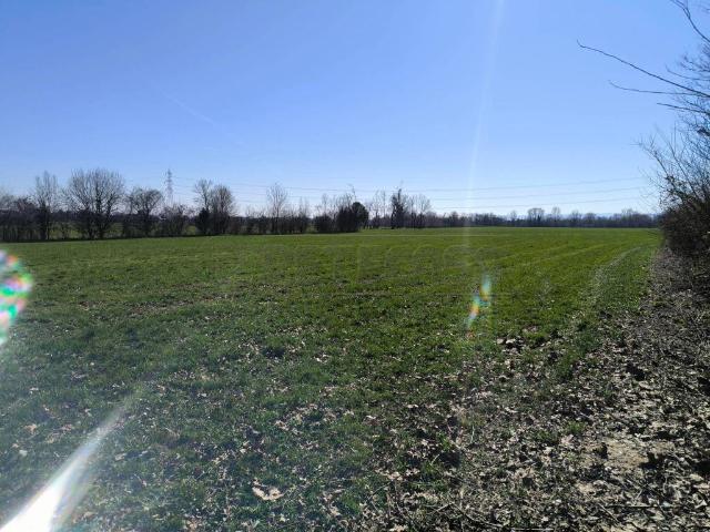Terreno in vendita a Montecchio Precalcino, Veneto