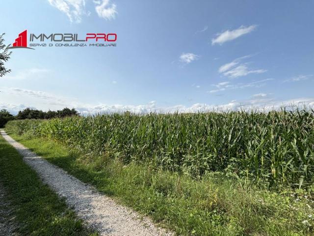Terreno in vendita a Montecchio Precalcino, Veneto