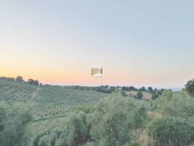 Terreno in vendita a Montecchio, Umbria