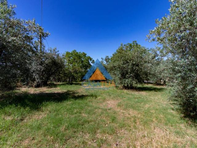 Terreno in vendita a San Martino, Montecchio