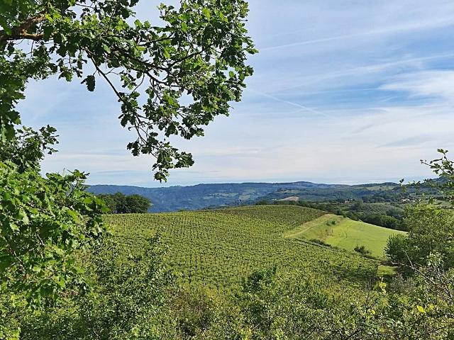 Terreno in vendita a San Martino, Montecchio