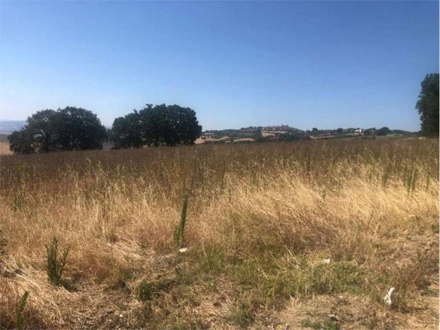Terreno in vendita a Montecilfone, Campobasso
