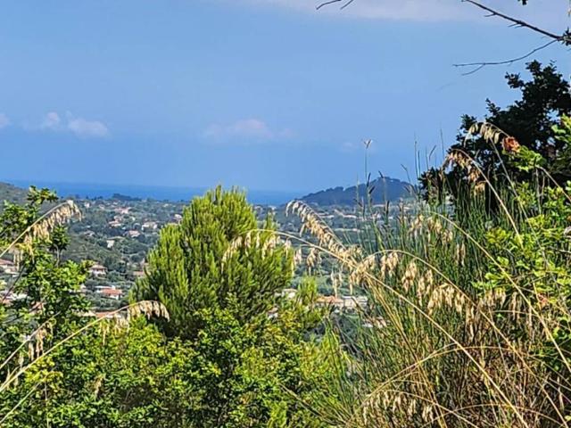 Terreno in vendita a Montecorice, Campania