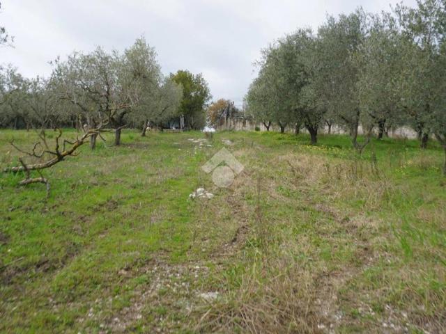 Terreno in vendita a Montecorvino Pugliano, Campania