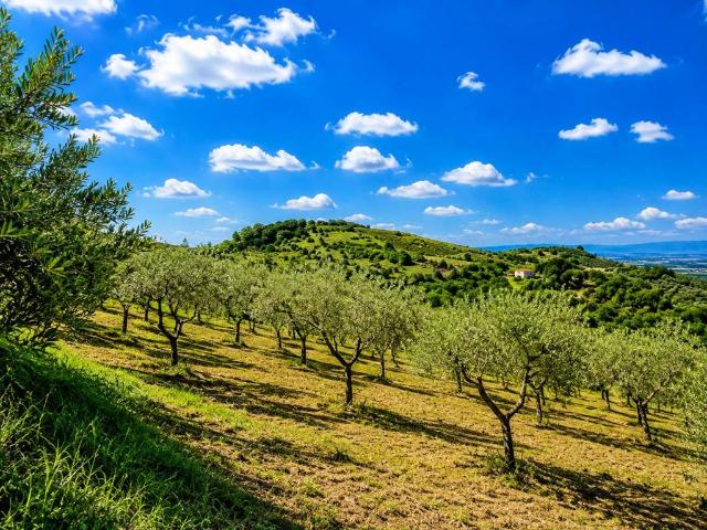 Terreno in vendita a San Vito, Montecorvino Pugliano