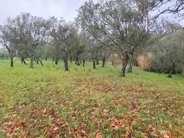 Terreno in vendita a Montecorvino Pugliano, Campania