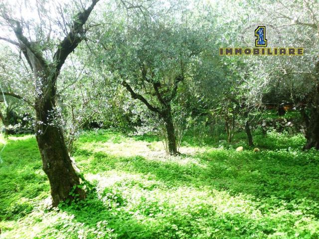 Terreno in vendita a Montecorvino, Campania