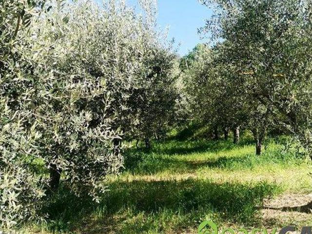 Terreno in vendita a Montecorvino, Campania
