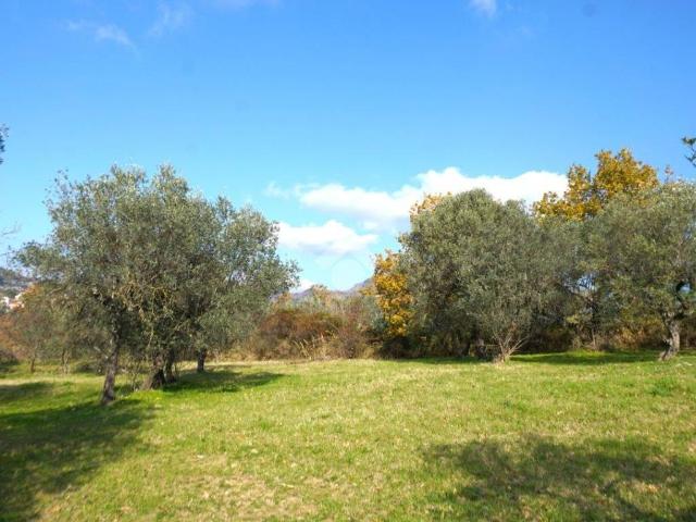 Terreno in vendita a San Filippo, Montecorvino