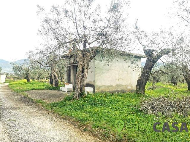 Terreno in vendita a Montecorvino Pugliano, Campania