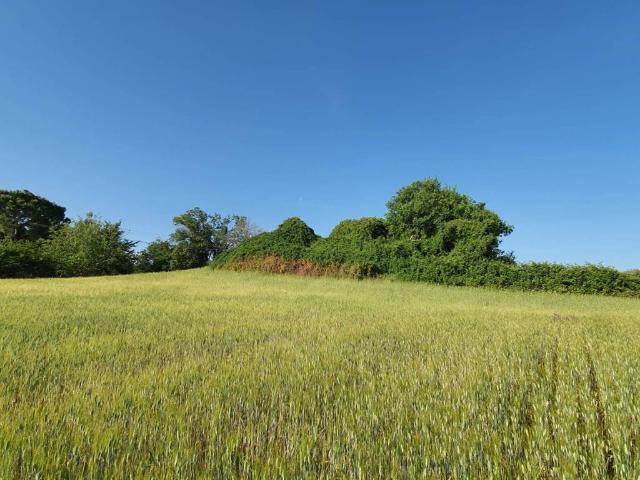 Terreno in vendita a Marche, Macerata