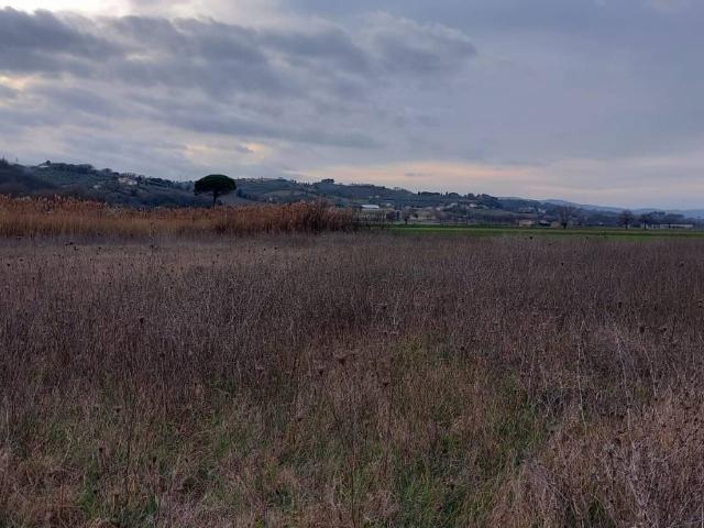 Terreno in vendita a Montefalco, Umbria