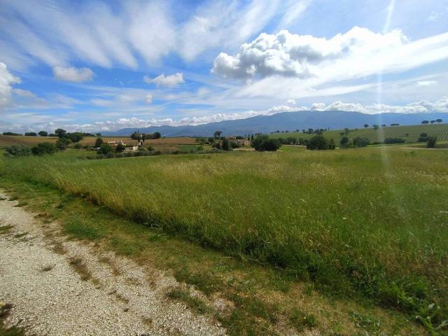 Terreno in vendita a Cortignano, Montefalco