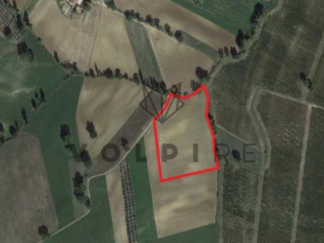 Terreno in vendita a Montefalco, Umbria