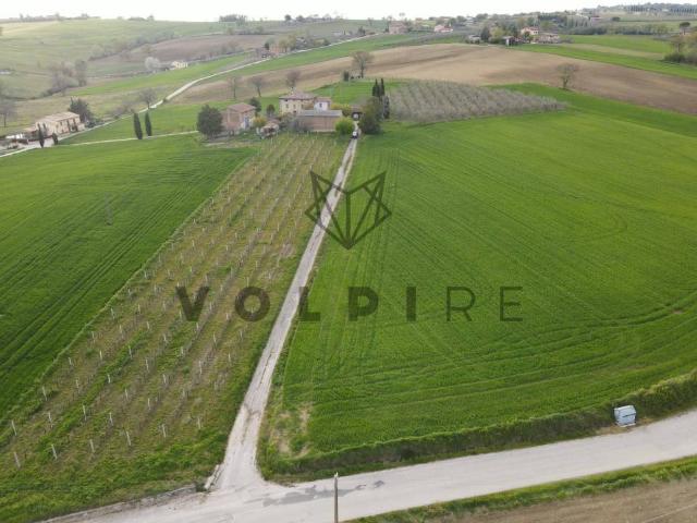 Terreno in vendita a Montefalco, Umbria