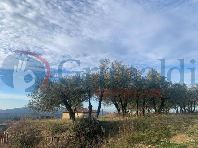 Terreno in vendita a Montefalco, Umbria