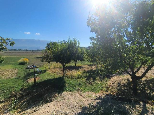 Terreno in vendita a Montefalco, Perugia