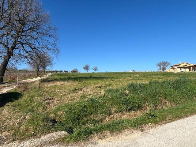 Terreno in vendita a Montefalco, Umbria
