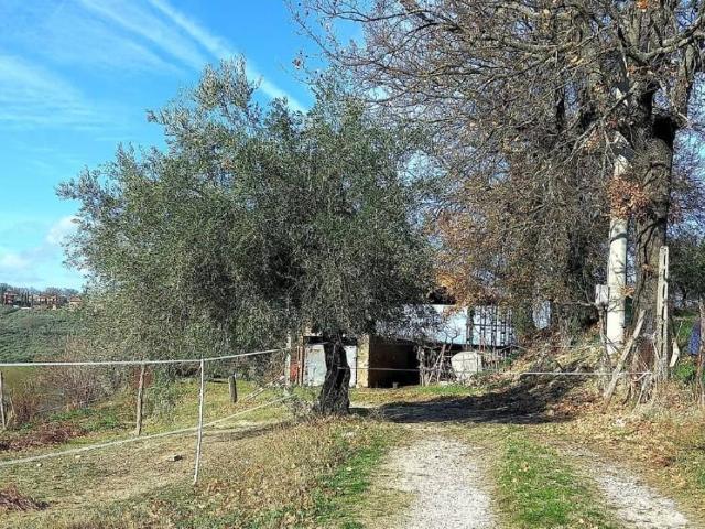 Terreno in vendita a Montefalco, Umbria
