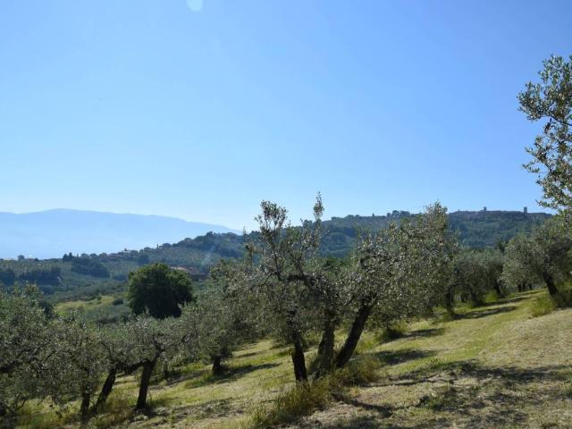 Terreno in vendita a Montepennino, Montefalco
